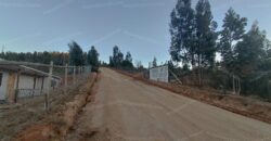 Se vende parcela de 5.000 m² con casa de 100 m² en el sector de Cajón de Lebu, cercana a Fuerte Aguayo, Viña del Mar.