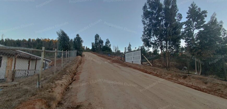 Se vende parcela de 5.000 m² con casa de 100 m² en el sector de Cajón de Lebu, cercana a Fuerte Aguayo, Viña del Mar.