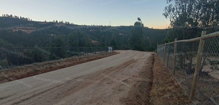 Se vende parcela de 5.000 m² con casa de 100 m² en el sector de Cajón de Lebu, cercana a Fuerte Aguayo, Viña del Mar.