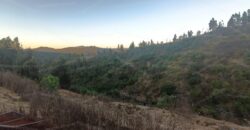 Se vende parcela de 5.000 m² con casa de 100 m² en el sector de Cajón de Lebu, cercana a Fuerte Aguayo, Viña del Mar.