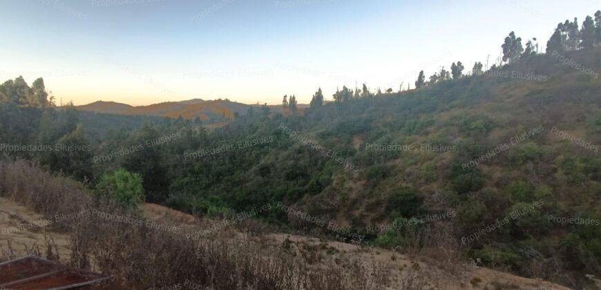 Se vende parcela de 5.000 m² con casa de 100 m² en el sector de Cajón de Lebu, cercana a Fuerte Aguayo, Viña del Mar.