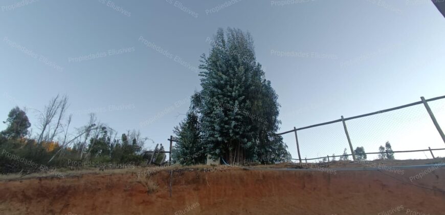 Se vende parcela de 5.000 m² con casa de 100 m² en el sector de Cajón de Lebu, cercana a Fuerte Aguayo, Viña del Mar.