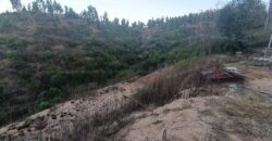 Se vende parcela de 5.000 m² con casa de 100 m² en el sector de Cajón de Lebu, cercana a Fuerte Aguayo, Viña del Mar.