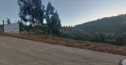 Se vende parcela de 5.000 m² con casa de 100 m² en el sector de Cajón de Lebu, cercana a Fuerte Aguayo, Viña del Mar.