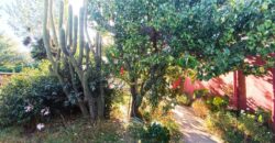 En venta Gran Propiedad en Esquina – Villa Alemana | 600 m² Terreno