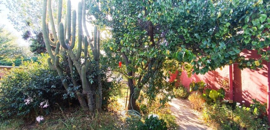 En venta Gran Propiedad en Esquina – Villa Alemana | 600 m² Terreno