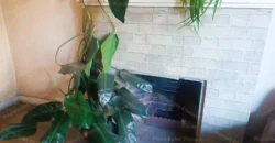 EN VENTA – Villa Alemana (Victoria esq. Primera),terreno de 750 m² con DOS casas