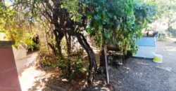 EN VENTA – Villa Alemana (Victoria esq. Primera),terreno de 750 m² con DOS casas