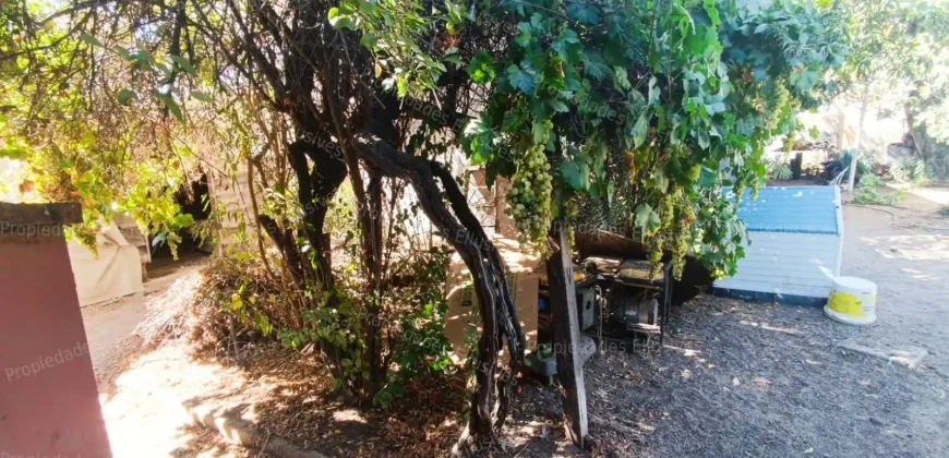 EN VENTA – Villa Alemana (Victoria esq. Primera),terreno de 750 m² con DOS casas