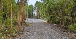 VENTA: Parcela de 1 Hectárea – Sector Ahoní, Chiloé