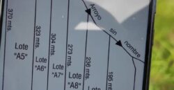 VENTA: Parcela de 1 Hectárea – Sector Ahoní, Chiloé