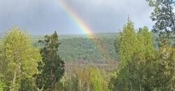 VENTA: Parcela de 1 Hectárea – Sector Ahoní, Chiloé