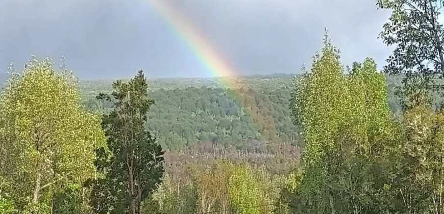 VENTA: Parcela de 1 Hectárea – Sector Ahoní, Chiloé