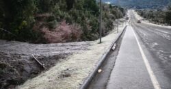 VENTA: Parcela de 1 Hectárea – Sector Ahoní, Chiloé