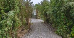 VENTA: Parcela de 1 Hectárea – Sector Ahoní, Chiloé