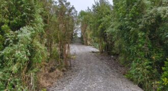 VENTA: Parcela de 1 Hectárea – Sector Ahoní, Chiloé