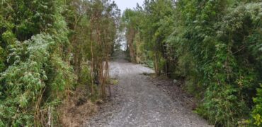 VENTA: Parcela de 1 Hectárea – Sector Ahoní, Chiloé
