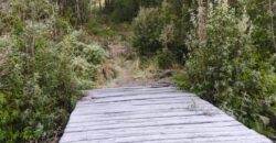 VENTA: Parcela de 1 Hectárea – Sector Ahoní, Chiloé