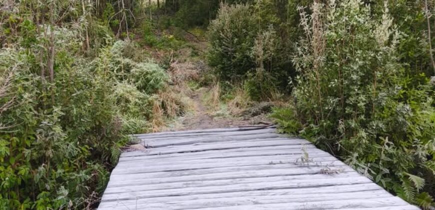VENTA: Parcela de 1 Hectárea – Sector Ahoní, Chiloé