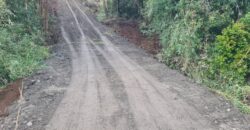 VENTA: Parcela de 1 Hectárea – Sector Ahoní, Chiloé