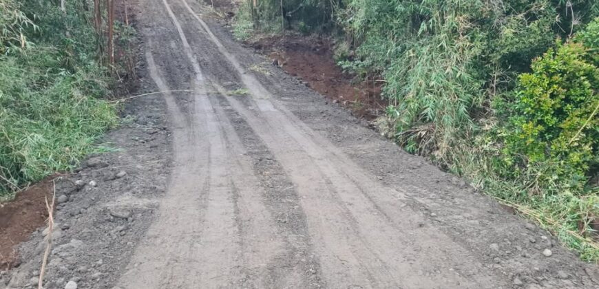 VENTA: Parcela de 1 Hectárea – Sector Ahoní, Chiloé