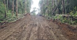 VENTA: Parcela de 1 Hectárea – Sector Ahoní, Chiloé