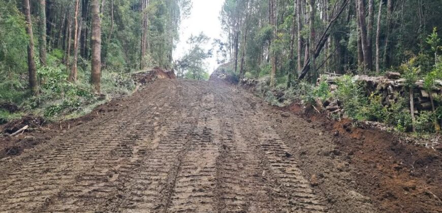 VENTA: Parcela de 1 Hectárea – Sector Ahoní, Chiloé