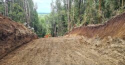 VENTA: Parcela de 1 Hectárea – Sector Ahoní, Chiloé