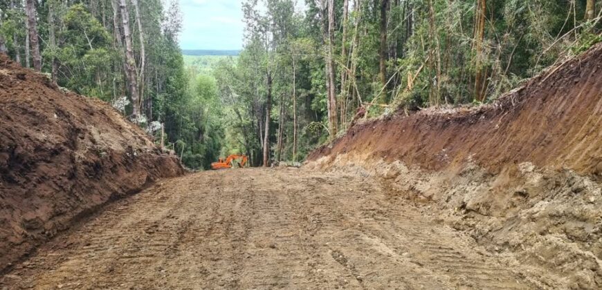 VENTA: Parcela de 1 Hectárea – Sector Ahoní, Chiloé