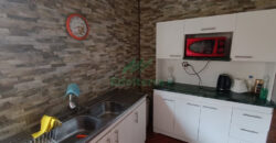 Amplia Propiedad en Arriendo – Sector Sur de Villa Alemana