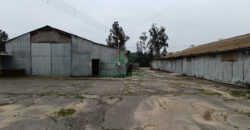 EN VENTA ¡OPORTUNIDAD DE INVERSIÓN EN VILLA ALEMANA! Parcela Industrial / Comercial de 1 Ha
