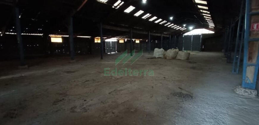 EN VENTA ¡OPORTUNIDAD DE INVERSIÓN EN VILLA ALEMANA! Parcela Industrial / Comercial de 1 Ha