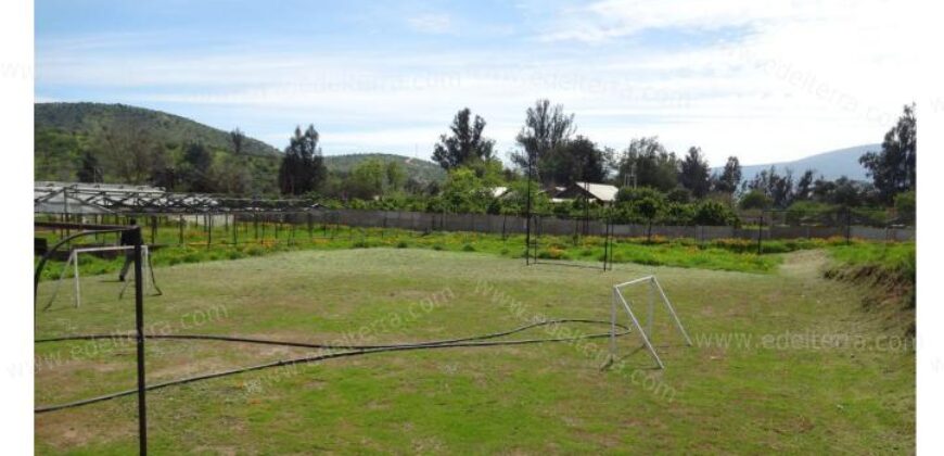 Venta: Propiedad Industrial-Agrícola y Residencial en Limache (20.000 m2)