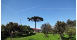 Venta: Propiedad Industrial-Agrícola y Residencial en Limache (20.000 m2)