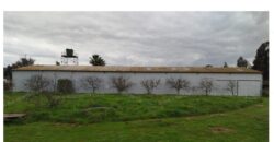 Venta: Propiedad Industrial-Agrícola y Residencial en Limache (20.000 m2)