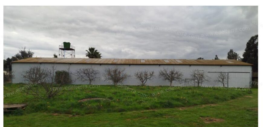 Venta: Propiedad Industrial-Agrícola y Residencial en Limache (20.000 m2)