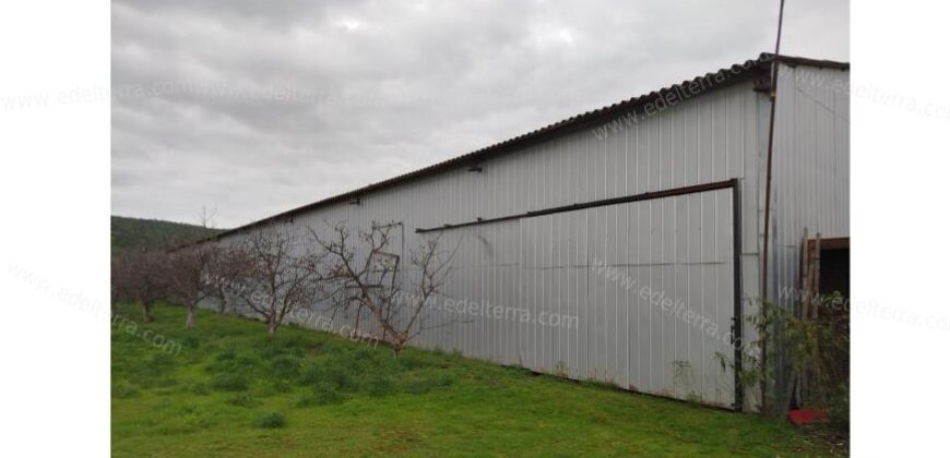 Venta: Propiedad Industrial-Agrícola y Residencial en Limache (20.000 m2)