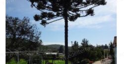Venta: Propiedad Industrial-Agrícola y Residencial en Limache (20.000 m2)