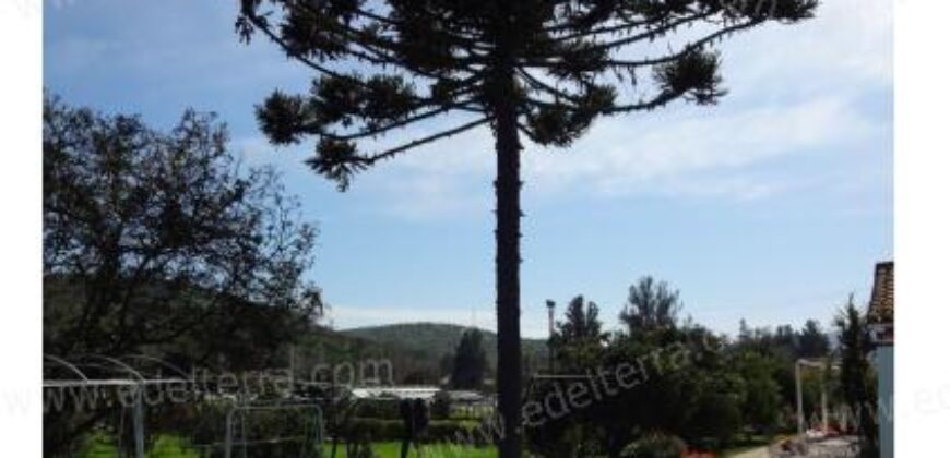 Venta: Propiedad Industrial-Agrícola y Residencial en Limache (20.000 m2)