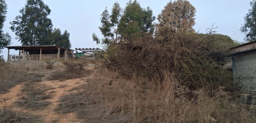 Parcela de 5.000 m² en Fundo Cajón de Lebu: Proyecto con Base Avanzada y Gran Conectividad
