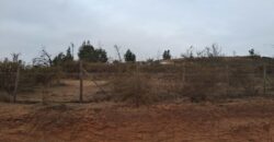 Parcela de 5.000 m² en Fundo Cajón de Lebu: Proyecto con Base Avanzada y Gran Conectividad