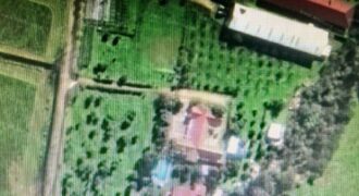 Venta: Propiedad Industrial-Agrícola y Residencial en Limache (20.000 m2)