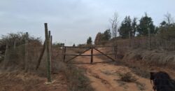 Parcela de 5.000 m² en Fundo Cajón de Lebu: Proyecto con Base Avanzada y Gran Conectividad