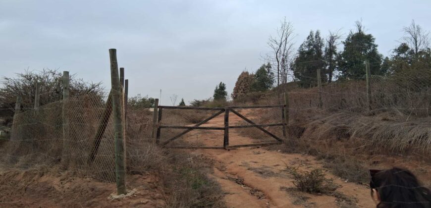 Parcela de 5.000 m² en Fundo Cajón de Lebu: Proyecto con Base Avanzada y Gran Conectividad