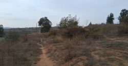 Parcela de 5.000 m² en Fundo Cajón de Lebu: Proyecto con Base Avanzada y Gran Conectividad