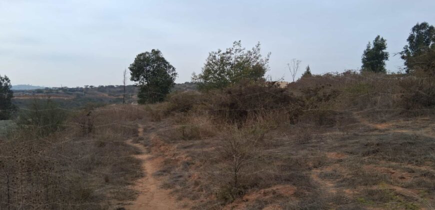 Parcela de 5.000 m² en Fundo Cajón de Lebu: Proyecto con Base Avanzada y Gran Conectividad