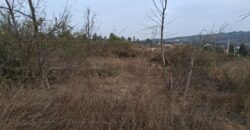 Parcela de 5.000 m² en Fundo Cajón de Lebu: Proyecto con Base Avanzada y Gran Conectividad