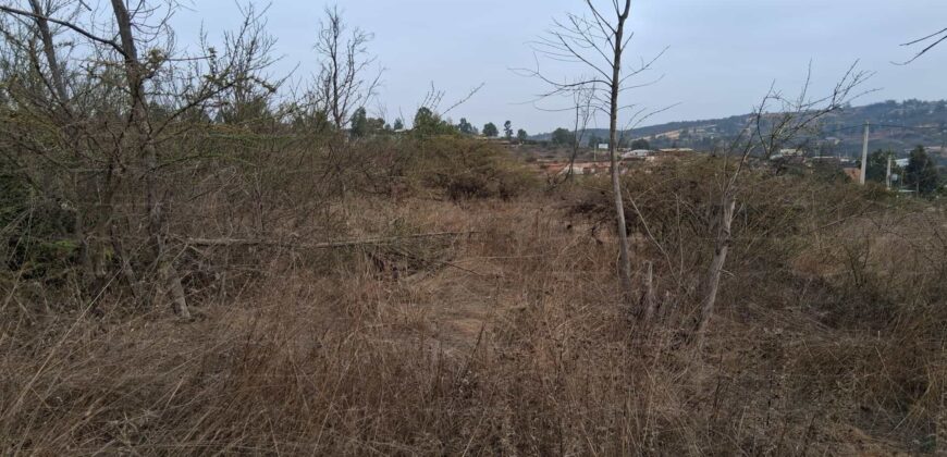 Parcela de 5.000 m² en Fundo Cajón de Lebu: Proyecto con Base Avanzada y Gran Conectividad