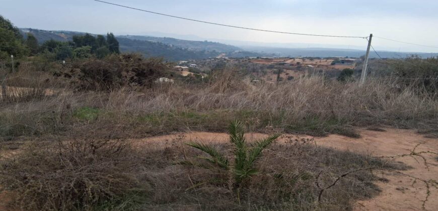 Parcela de 5.000 m² en Fundo Cajón de Lebu: Proyecto con Base Avanzada y Gran Conectividad
