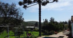 Venta: Propiedad Industrial-Agrícola y Residencial en Limache (20.000 m2)